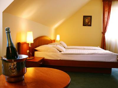 Hotel Gastland M0 - Szigetszentmiklos - Room - Hotel Gastland M0*** Szigetszentmiklós - 3-star hotel  in Szigetszentmiklos
